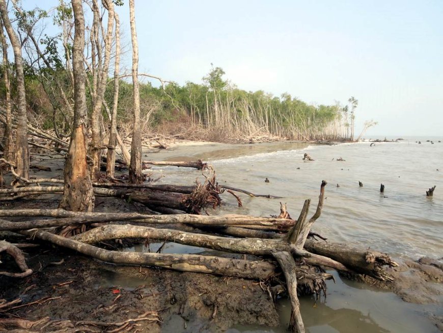 Assessment of Coastal Erosion & Land Loss in Indian Sundarbans - A Case Study Using Remote Sensing & Geographic Information System